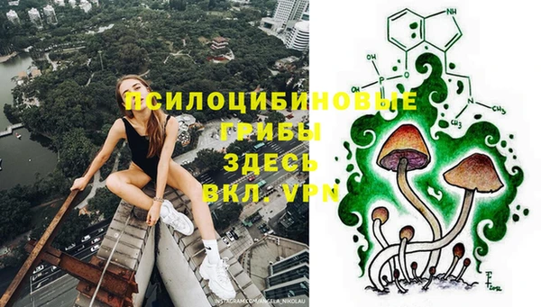 PSILOCYBIN Абинск