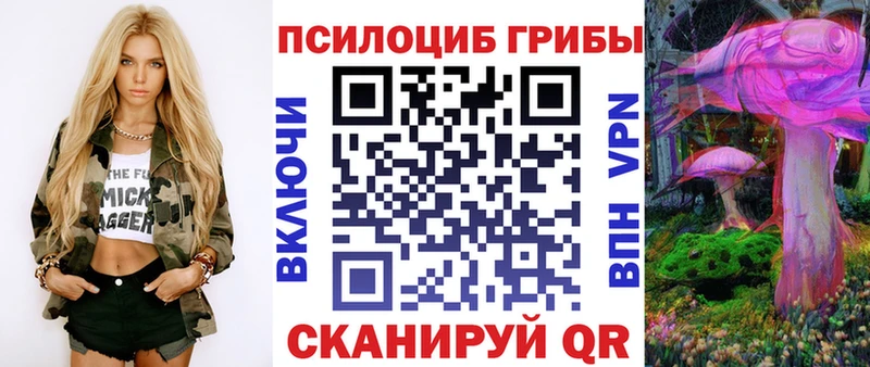 Галлюциногенные грибы прущие грибы  наркотики  Чкаловск 